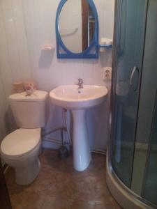 W łazience znajduje się toaleta, umywalka i lustro. w obiekcie Shovkova Kosytsia w mieście Mikuliczyn