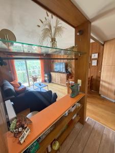 フォルミガルにあるIbón de Bucuesaのリビングルーム(大きな鏡付)の景色を望む客室です。