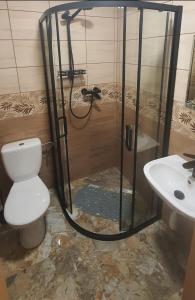 a bathroom with a shower and a toilet and a sink at Agroturystyka Klekusiowo in Bolesławiec