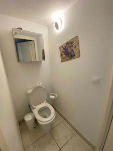 a small bathroom with a toilet and a mirror at Appt Azur Grand Parc in Saint-Aygulf