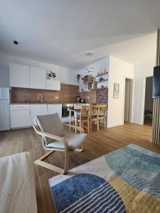 Η κουζίνα ή μικρή κουζίνα στο Apartmani Borovac Šparadići