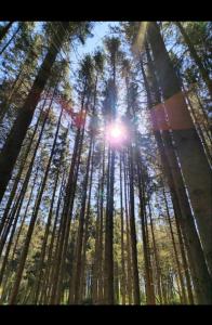 Fotografie z fotogalerie ubytování Chez Gold v destinaci Stembert