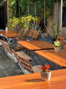 Afbeelding uit fotogalerij van Zum Feti Hotel und Restaurant in Rüdesheim am Rhein +19 foto's