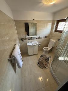 a bathroom with a toilet and a sink and a shower at Pensiunea Diana in Novaci +111 photos