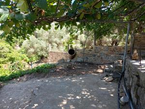 A garden outside Villa Areti - A Cottage in the Cretan Nature