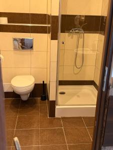 Bilik mandi di Dolnośląski