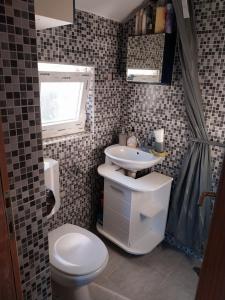 a small bathroom with a toilet and a sink at Studio apartman u ruralnom okruženju in Donji Karin