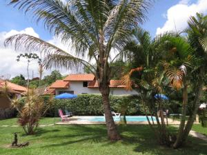 a palm tree in front of a house with a swimming pool at Pousada Recanto do João de Barro in Conservatória +16 photos