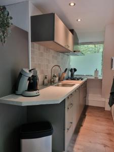 デュルビュイにあるDurbuy's Little Mansionのシンクとカウンターのあるキッチン +45枚の写真