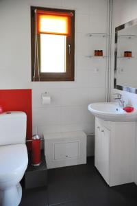 a bathroom with a toilet and a sink and a window at Domek nad Solinką in Bukowiec +8 photos