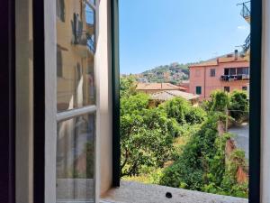 Naturlandskabet i nærheden af lejligheden