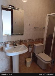a bathroom with a sink and a toilet and a mirror at Apartamento Rio Gallo II in Cuntis