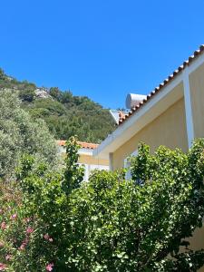Φωτογραφία από το άλμπουμ του Jimmy Anna Beachfront Apartments Private Beach σε Votsalákia +91 φωτογραφίες