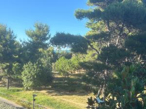 Elle offre une vue sur un parc arboré et verdoyant. dans l'établissement La Magnolia B&B, à Montesilvano