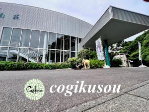 Certifikát, hodnocení, plakát nebo jiný dokument vystavený v ubytování cogikusou 小菊荘