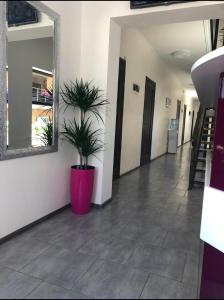 Fotografie z fotogalerie ubytování Hotel Olimp v destinaci Zatoka