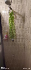 Afbeelding uit fotogalerij van Blooming homes in Ruaka