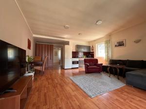 TV a/nebo společenská místnost v ubytování Apart Zen House