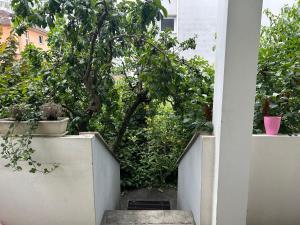 een trap naar een tuin met een boom bij Maison du F'Or in Huningue +2 foto's