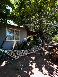 A garden outside Izgen Bungalows