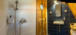 a bathroom with a sink and a shower at Balatinn in Balatonkenese