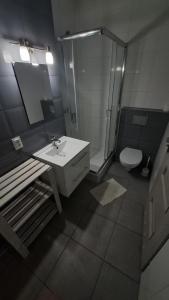 a bathroom with a sink and a shower and a toilet at Gościniec 