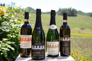 a group of three bottles of wine sitting on a table at Azienda Agricola La Ghibellina in Gavi +29 photos