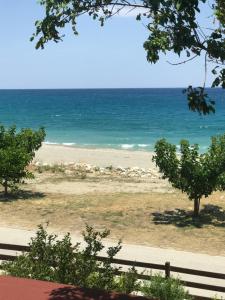 vista su una spiaggia con l'oceano sullo sfondo di Duchess Eva's Seafront Guesthouse a Chorefto