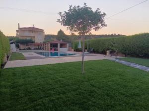 a tree in the yard of a house with a swimming pool at Evelina's studio in Artemida