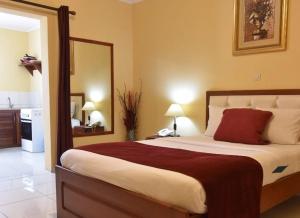 Un dormitorio con una cama grande y un espejo. en Hotel Ophelia Lodge, en Port-Gentil
