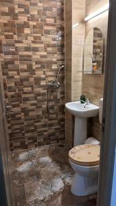 a bathroom with a toilet and a sink and a shower at Cazare Herculane in Băile Herculane