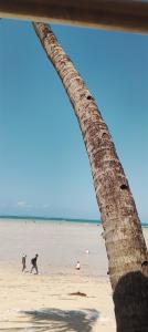 a palm tree on a beach with people walking on the beach at Serene Luxury Seaview Homestay Nyali Msa in Mombasa