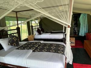 um quarto com duas camas e uma cama de dossel em Zuhumath Tented Camps Serengeti em Parque Nacional Serengeti
