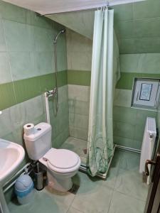 a bathroom with a toilet and a shower and a sink at Casa Chindea Lacu Rosu in Lacu Rosu
