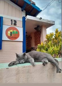 a gray cat laying on a wall in front of a house at Quincasa in São Luiz do Paraitinga