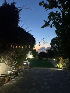 Zahrada ubytování Hostl - Beds & Rooms - The Hostel Inn Paphos, Old Town