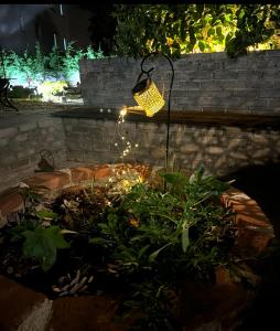 Zahrada ubytování Hostl - Beds & Rooms - The Hostel Inn Paphos, Old Town + 30 fotografií