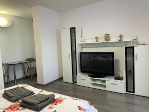 TV a/nebo společenská místnost v ubytování Julia Apartament