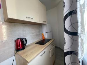 Kuchyň nebo kuchyňský kout v ubytování Julia Apartament