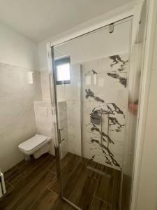 a bathroom with a shower and a toilet at Casa Elaria in Sviniţa