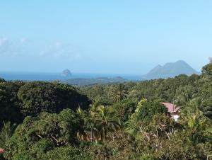 a view of a forest with mountains in the background at AK 101 - L'Océane by Alianskaraib in Rivière-Salée