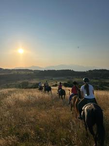 Hosté ubytování Agriturismo Borgo San Martino