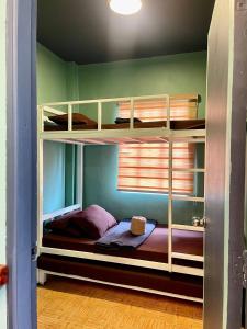 1 dormitorio con literas en una habitación en Newlives Transient 1 Atok Trail - 1st Floor, en Baguio