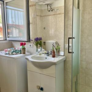 a bathroom with a sink and a shower at Bnbook Emozione Lago in Dormelletto