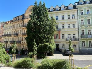 ein großer Baum vor einem großen Gebäude in der Unterkunft Apartment Sadova Karlovy Vary in Karlsbad