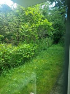 een uitzicht vanuit een treinraam op een veld met gras en bomen bij Apt blisko morza in Kosakowo