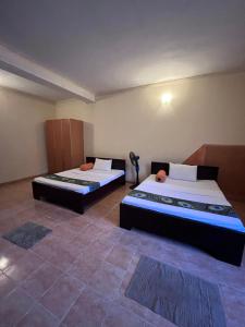 Letto o letti in una camera di Sunbloom Hostel