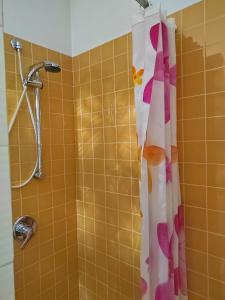a shower with a shower curtain in a bathroom at LA CASA AL BREMBO b&b in Paladina