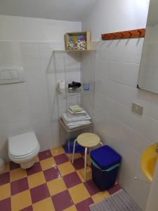 a bathroom with a toilet and aicolored floor at LA CASA AL BREMBO b&b in Paladina
