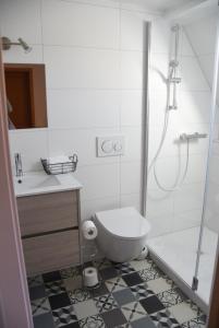a bathroom with a shower and a toilet and a sink at La Petite Ferme d'Albert  +15 photos